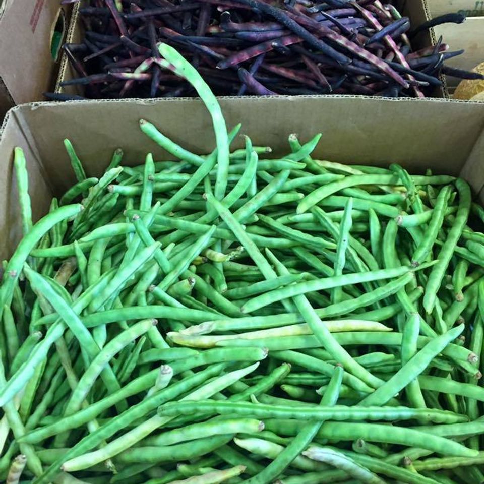 Kings beans20170522 13940 b64u9x