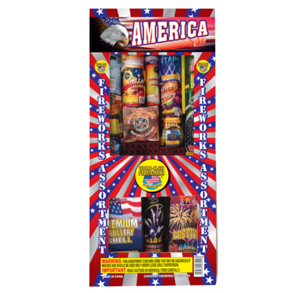 America cv