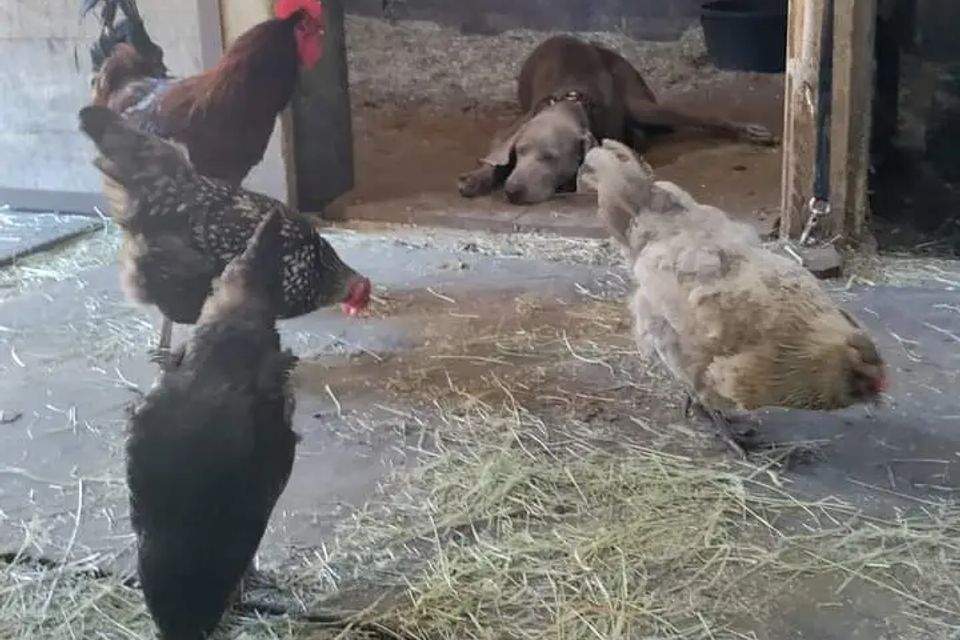 Fb img 1695231065342