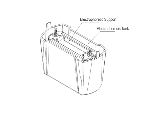 Vertical electrophoresis system be sve 2 8