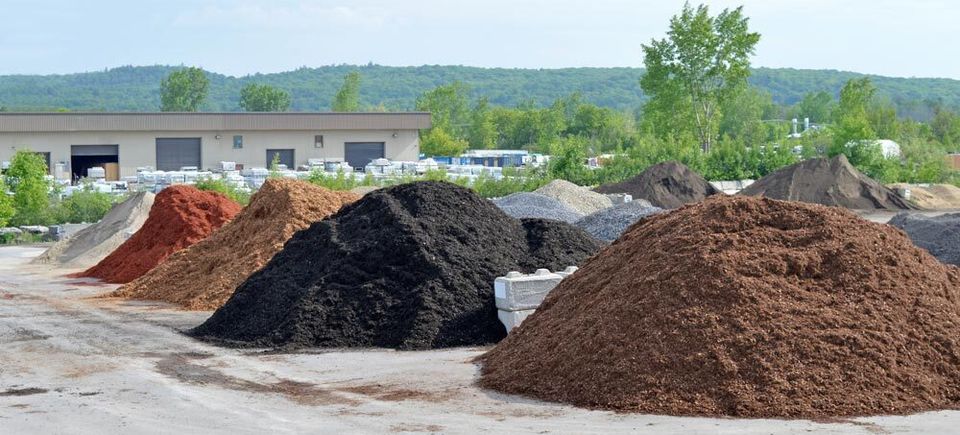 Shutterstock 1993523531