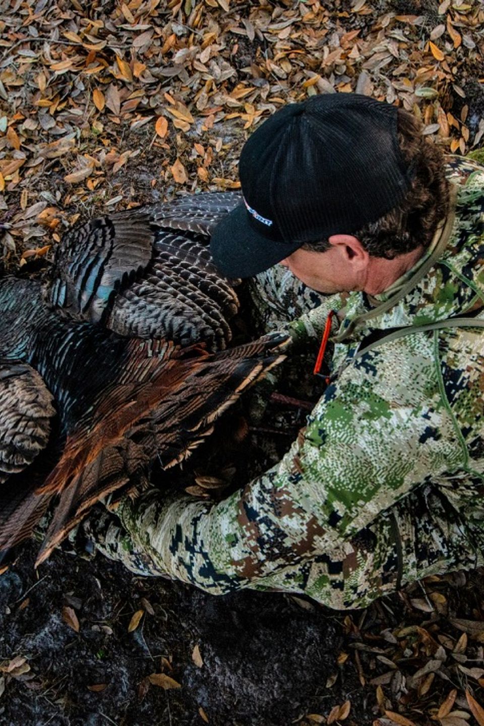 F83302fc 1962 4d02 be29 8eb832dc6ae9 1 105 c