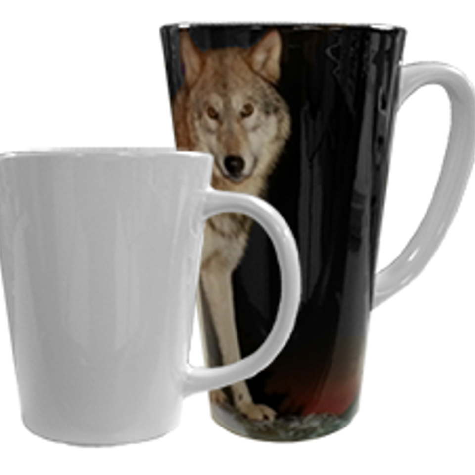 461757040 3153069941501432 4631838085942580437 n