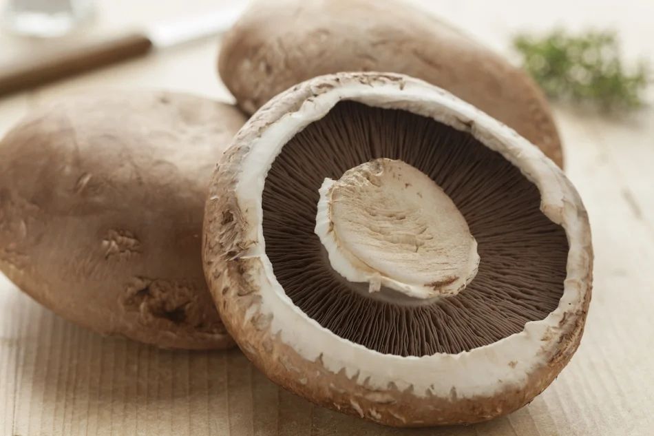 Portobello mushrooms as127944898 950x633