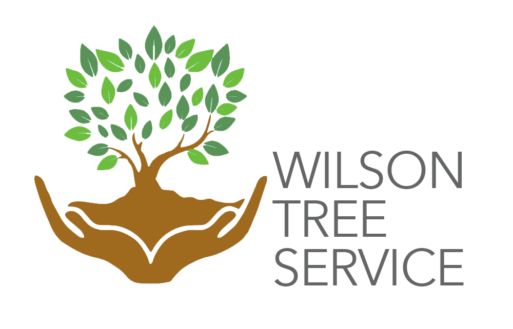 Wilson Tree Service