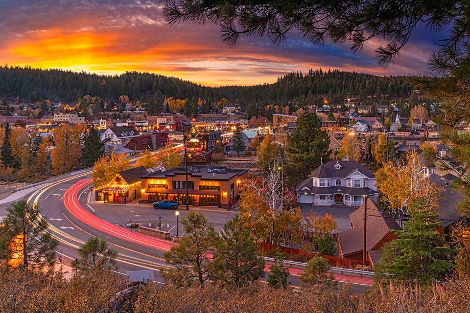 Tree removal and trimming service in Truckee California