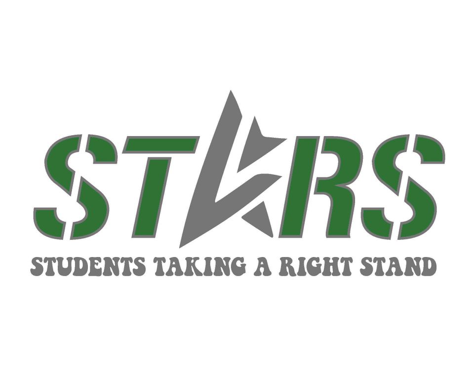 Stars logo green and silver20180320 19393 7wpr5a