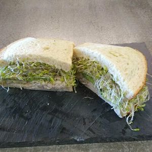 Mini Mae Sandwich