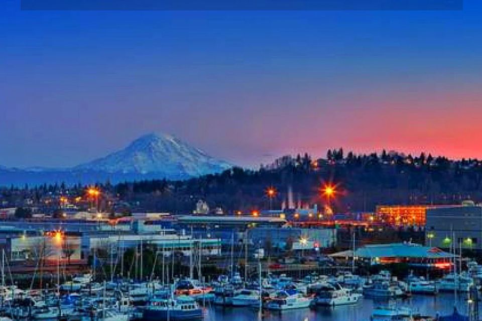 Lakewood washington 5meter water polo camps website 6aedbbf4 29fe 490d a620 40e79b6e23ac