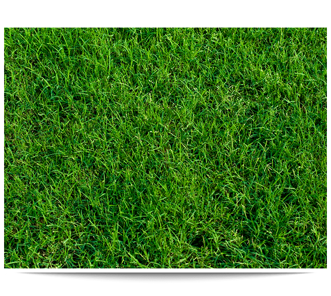Bermuda