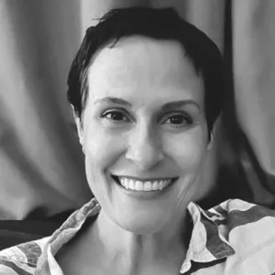 Laurel defoggi