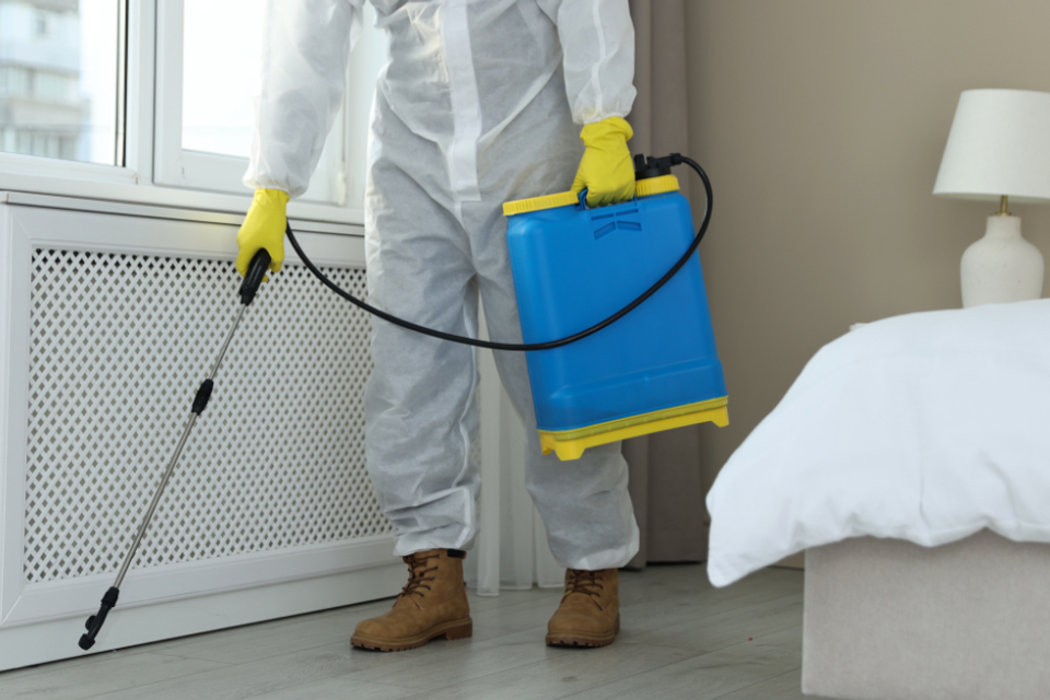 Rodent service page   precision pest solutions