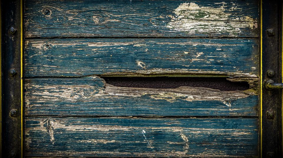 Wooden Crack call Lanser Pest Solutions
