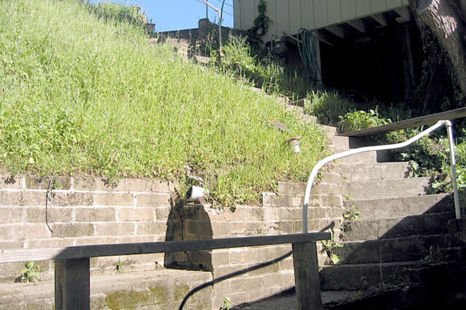 Sequoia valley residence 11