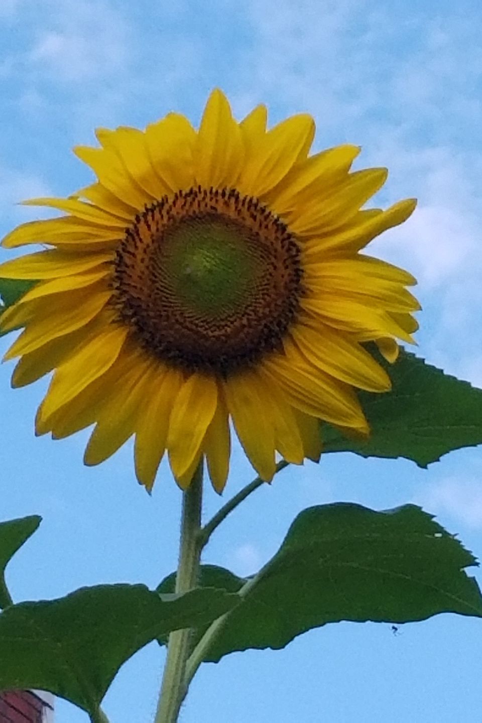 20180727 073057
