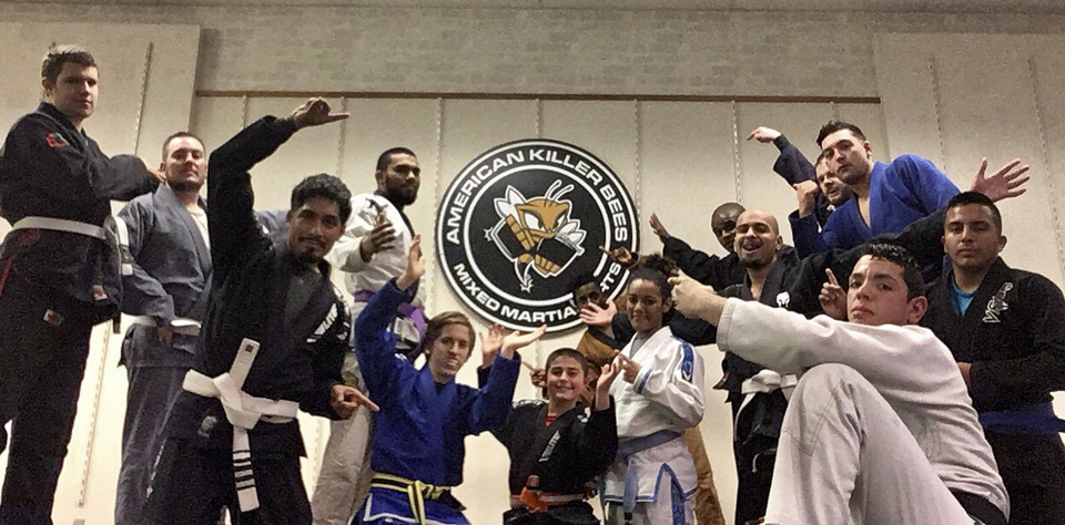 Killer bees mixed martial arts
