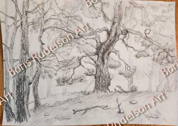 Pencil. Forest