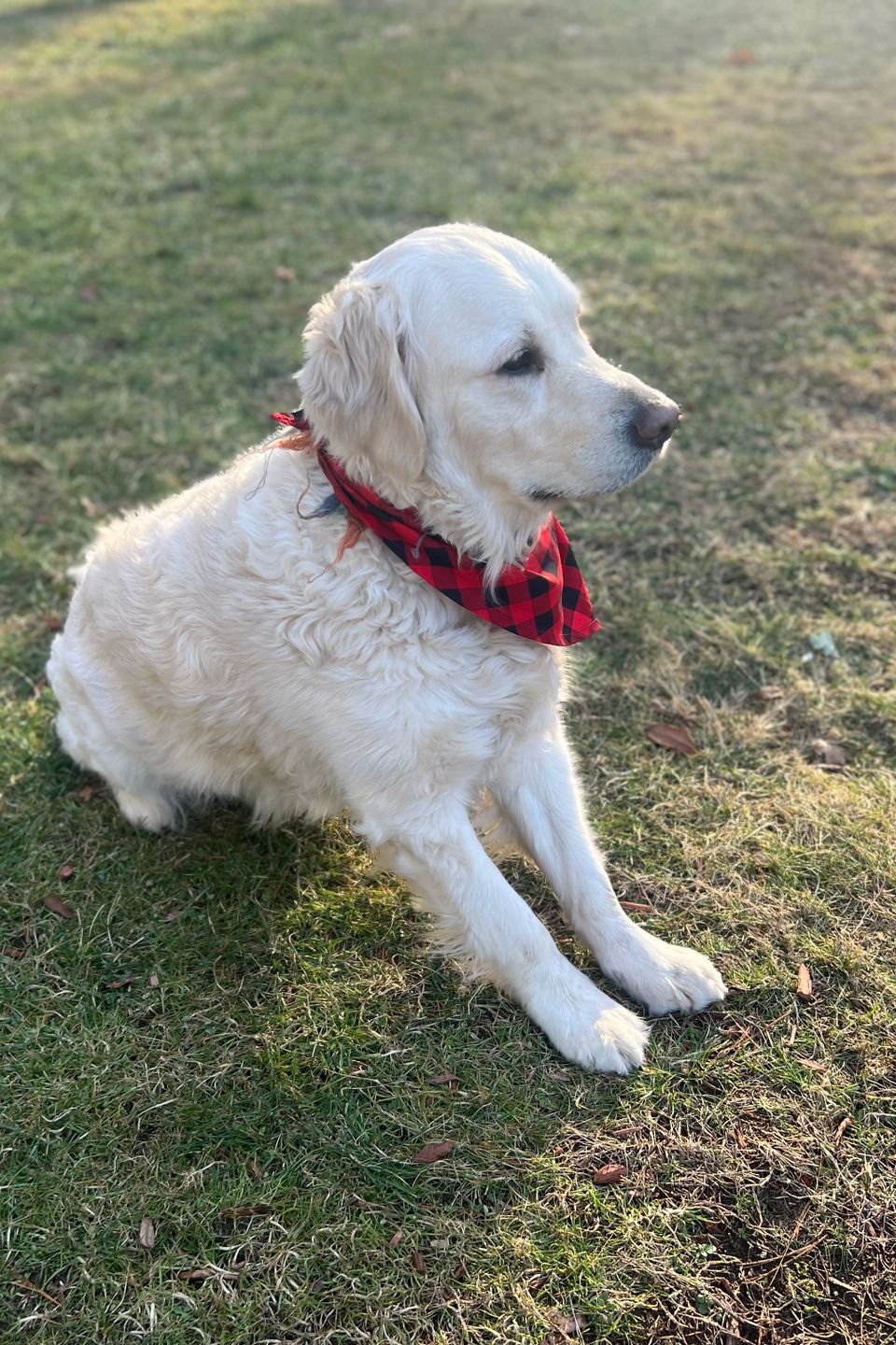 Cooper