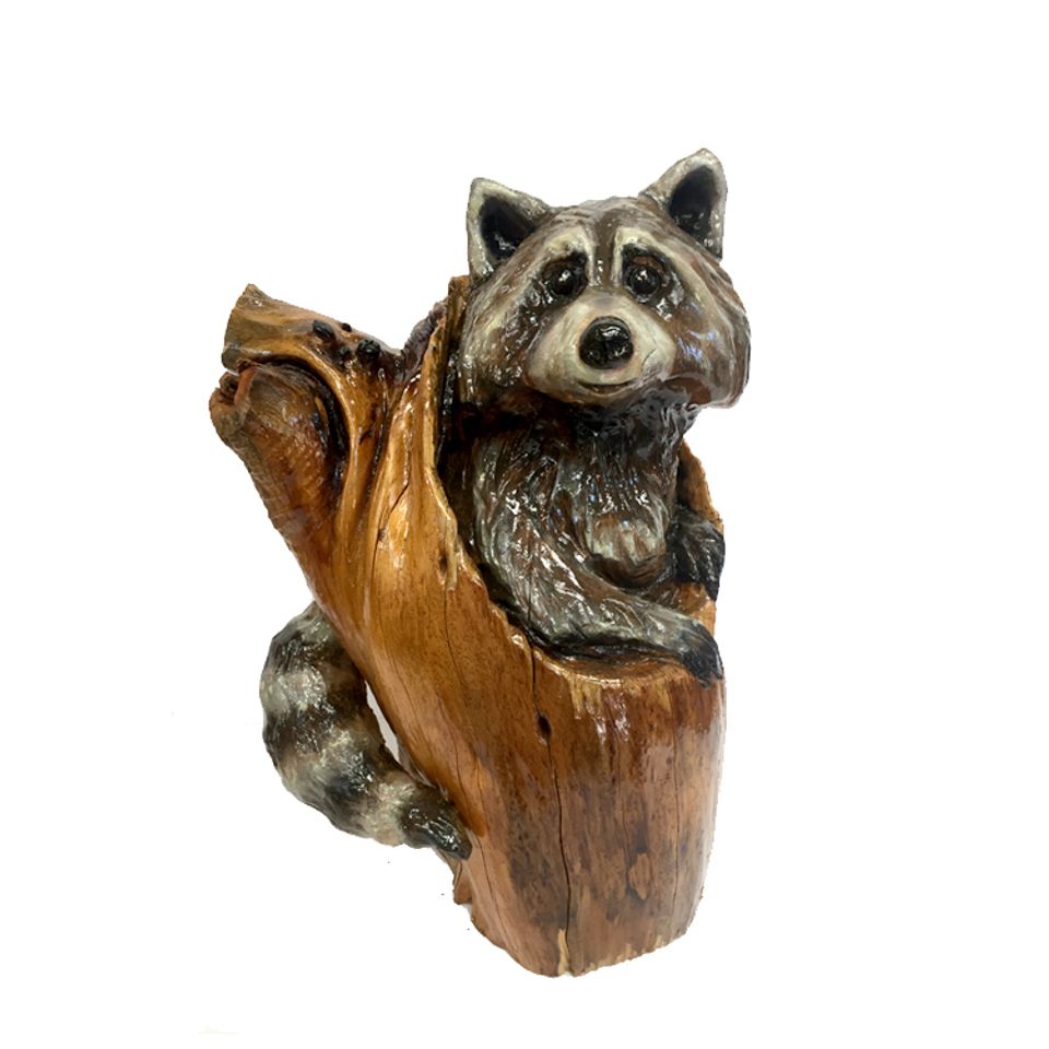 Raccoon20180430 11337 1ryuits