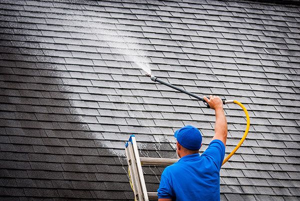 Roof cleaning monmouth county