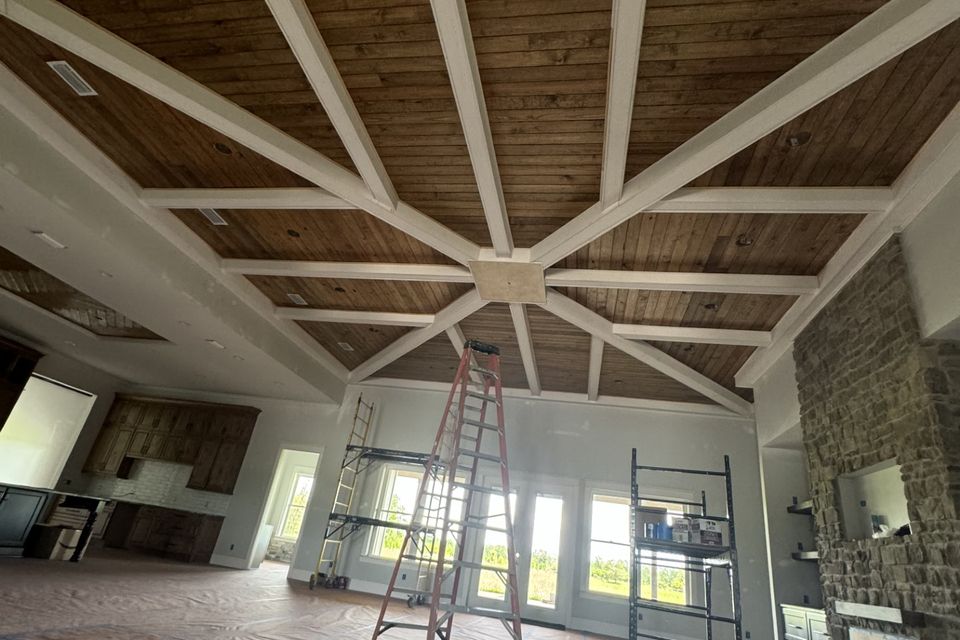 Prestige painting ceiling3