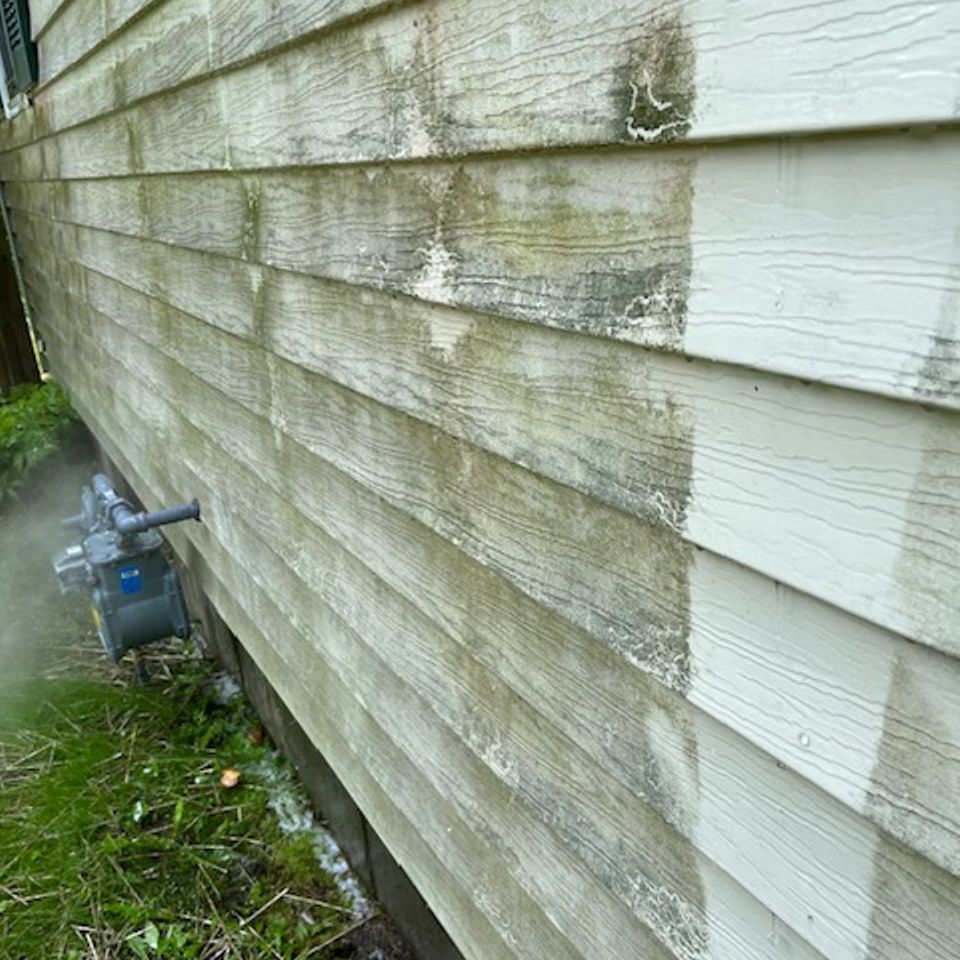 Img 0312