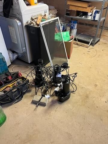 Img 1448
