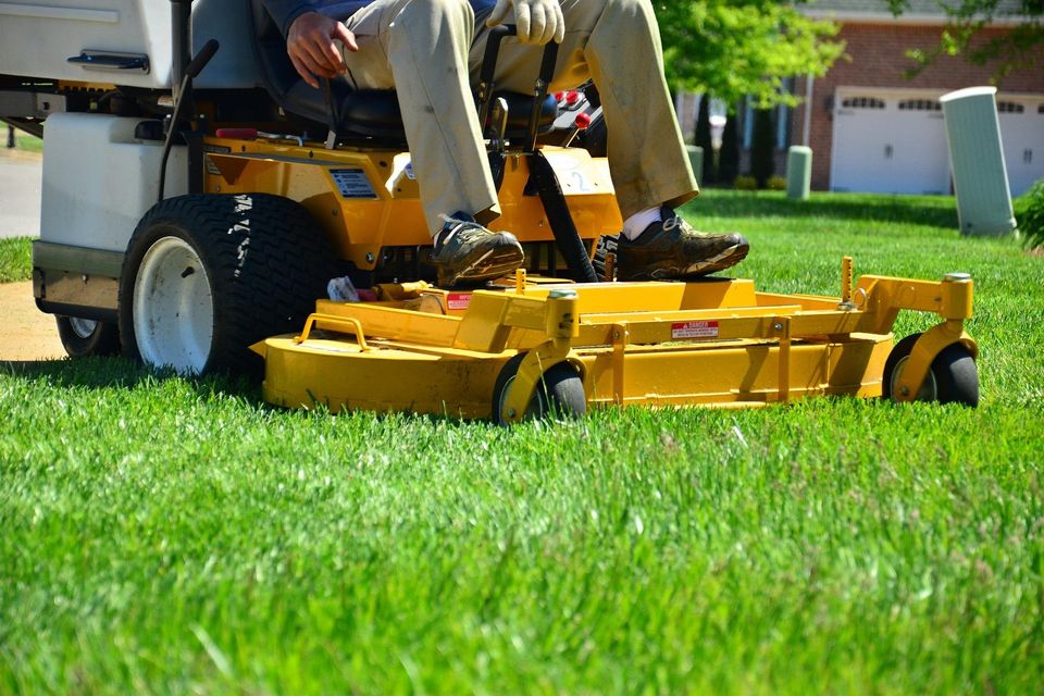 Clayton800 lawn care gebd958ed8 1920