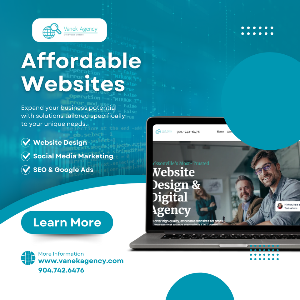 Vanek website design (2)