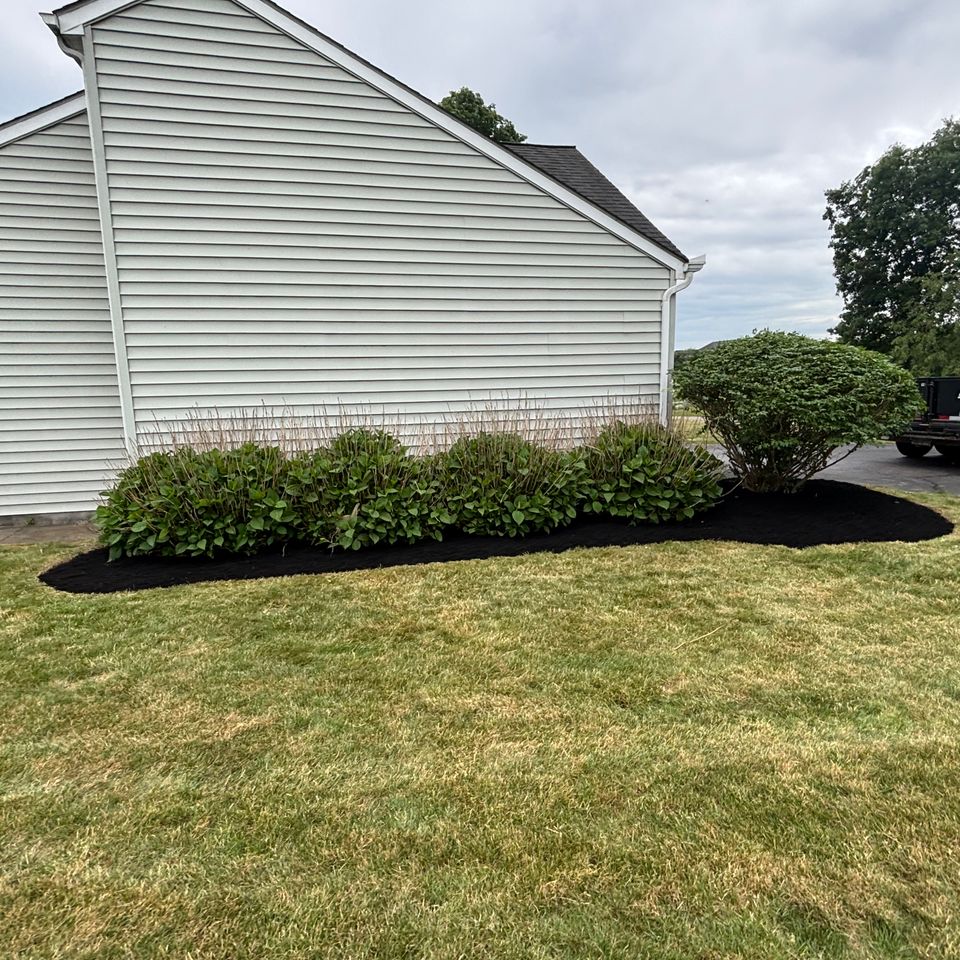 Fresh black mulch and neatly trimmed shrubs create a crisp, well-defined landscape bed that complements the home's exterior.