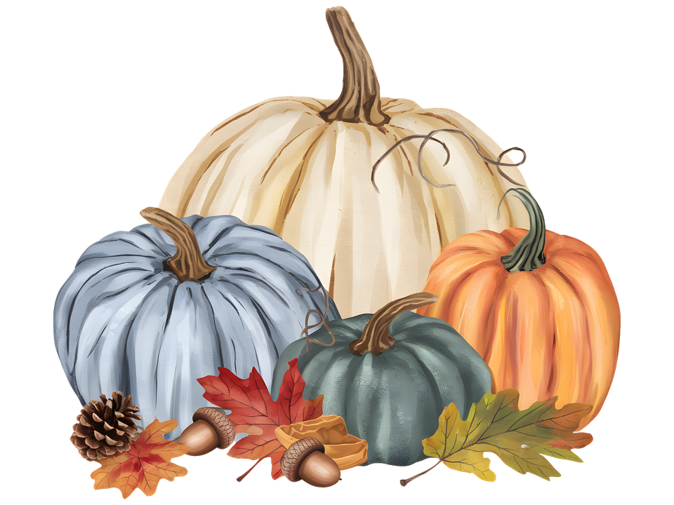 Seasons   fall multiple color pumpkins 4