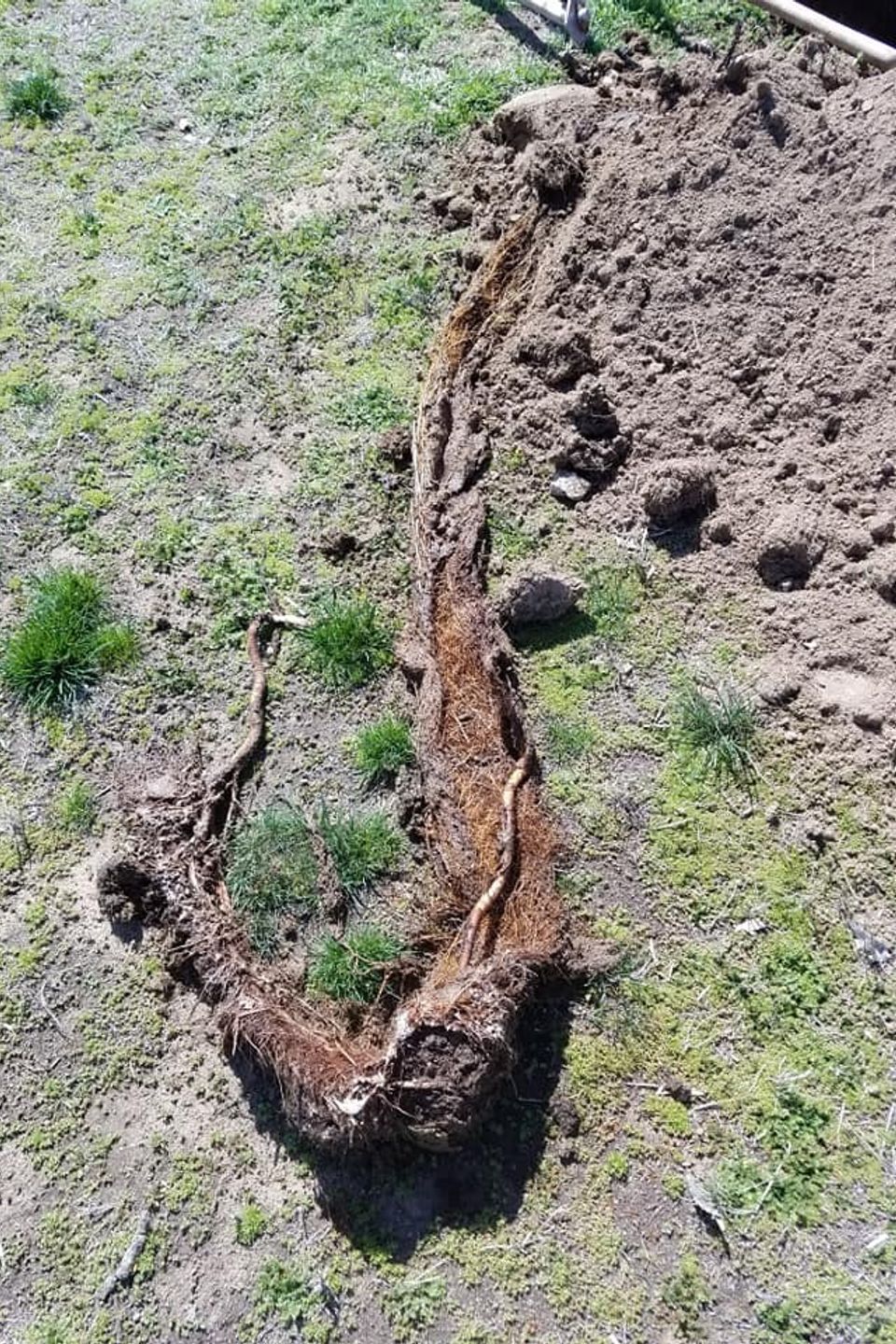 Unclog and clean out main sewer drain in Jerome, ID
