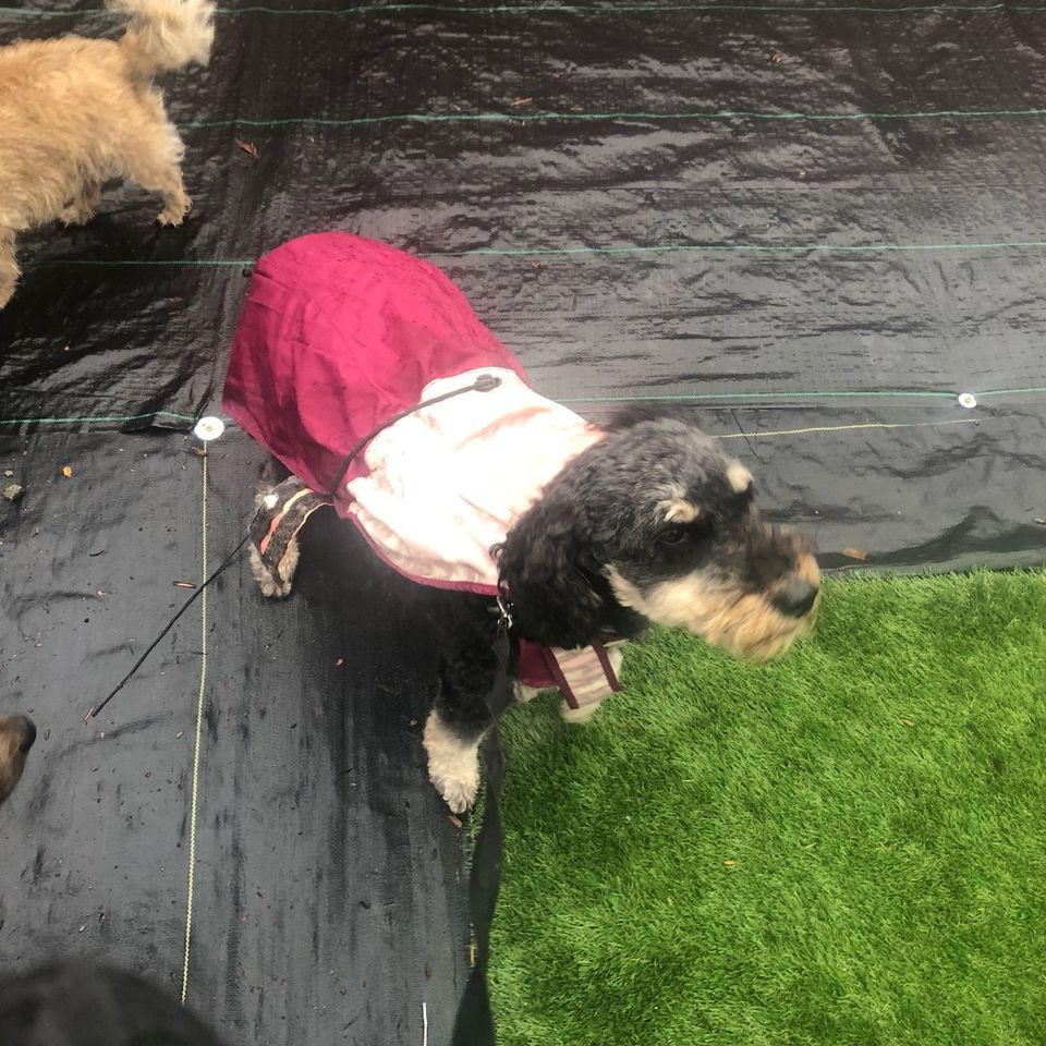 473188236 1033934372121494 6088791442364264734 n