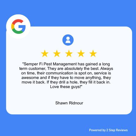 Shawn 5 star review