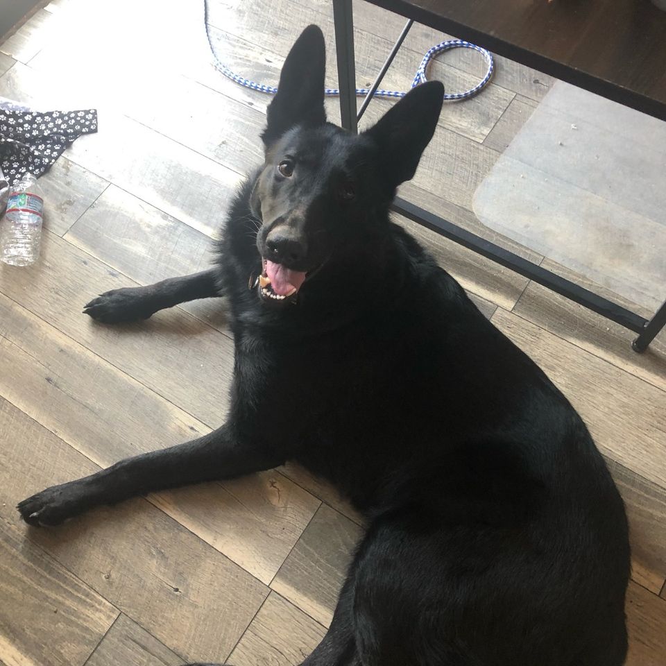 473077571 1033942722120659 7438569487263310466 n