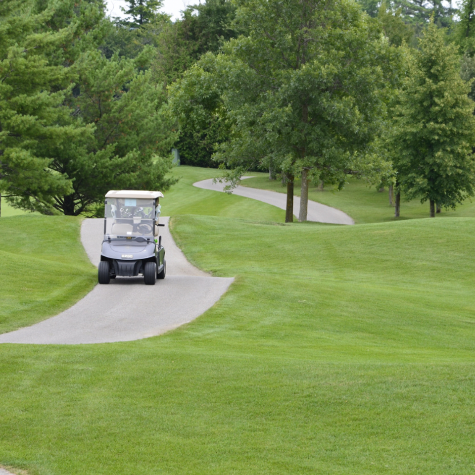Debnam's Golf Carts, Debnam's Golf Carts Wake County, Wake County Golf Carts, Golf Carts Service Knightdale