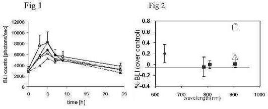 Fig1 2