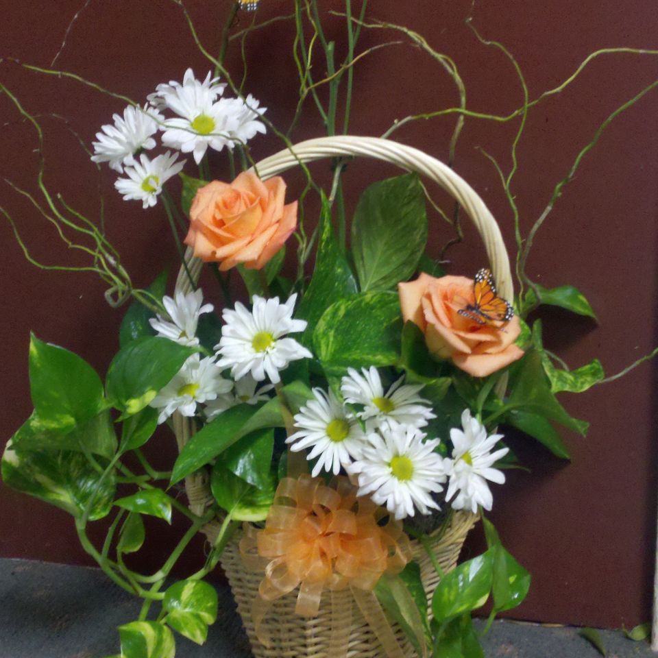 Sympathy 15020180617 21613 21pzf8