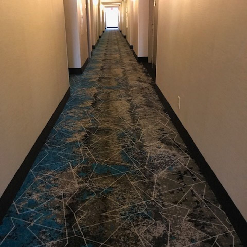 Img 2360