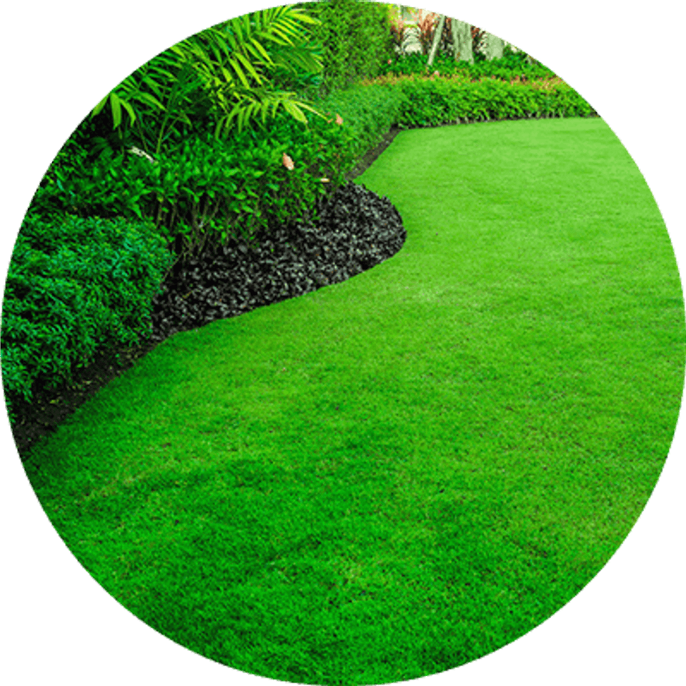 Lawns