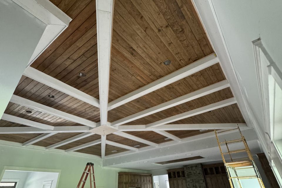 Prestige painting ceiling9
