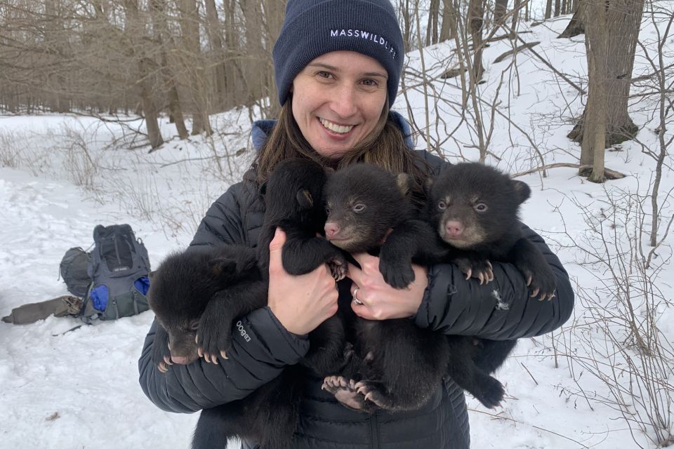 Coexisting with bears