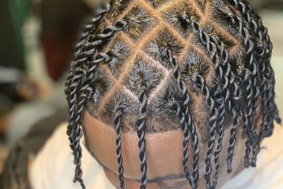 Twisted locs 2