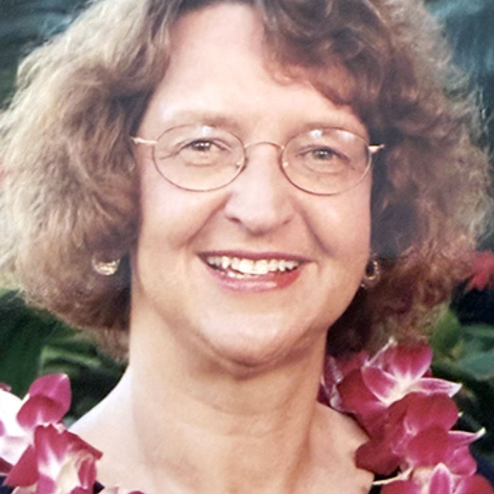 Phyllis sunnis (cropped)