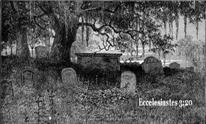 Ecc