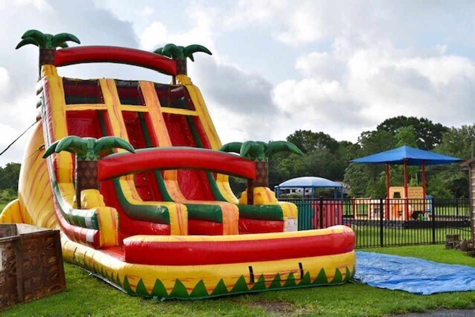 Rasta splash 