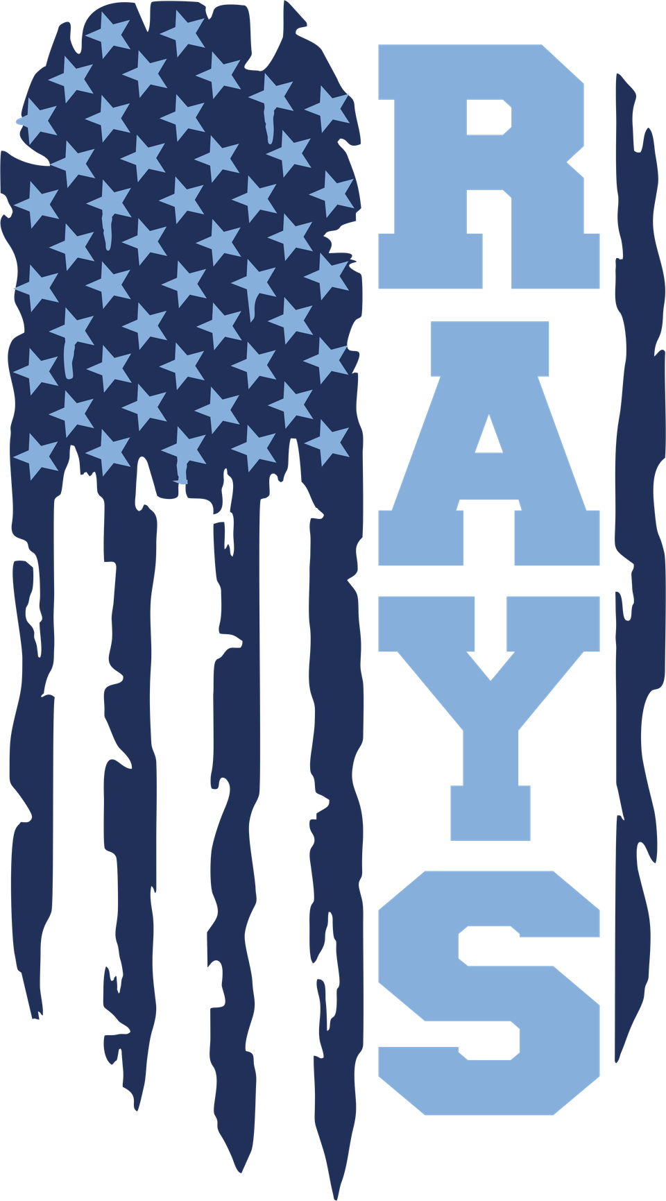 Sports   baseball rays flag 1