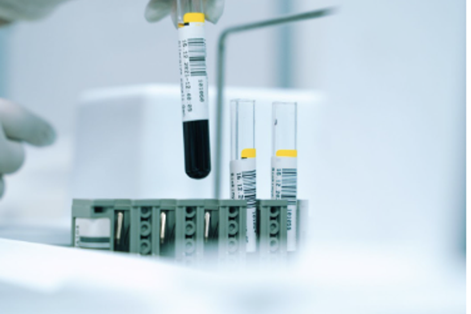 Blood and stool analysis consultation with effie