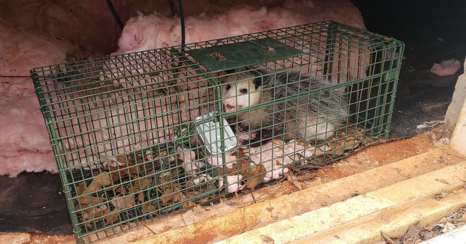 489728129 1201123095357459 5953265339280059234 n