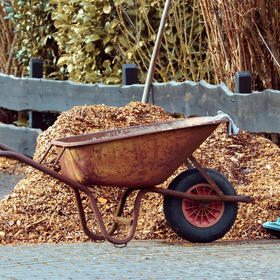 Manfredrichter gardening g4712fc45b 1920